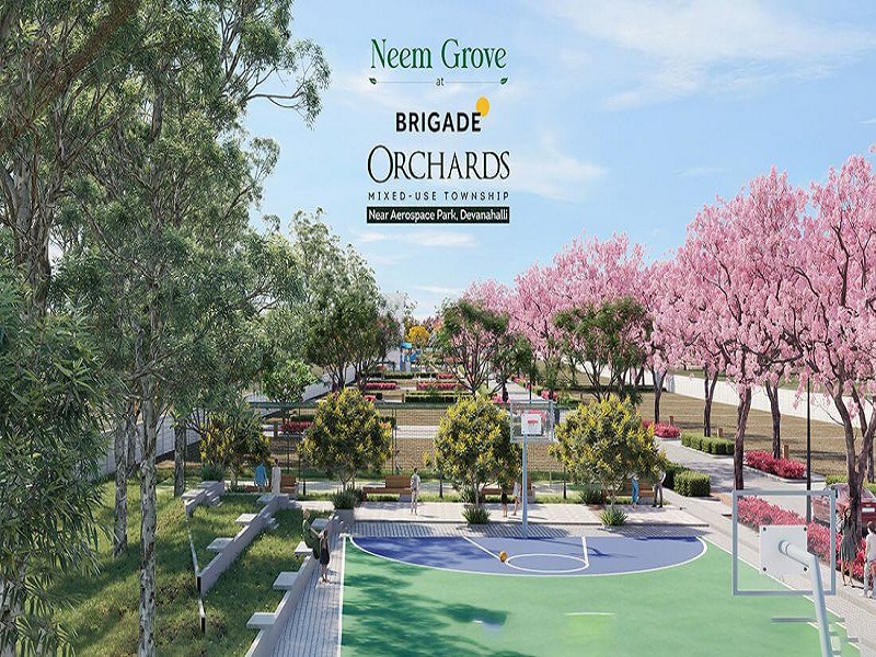 Neem Grove at Brigade Orchards